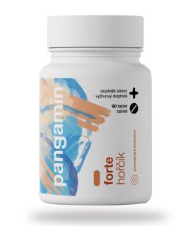 Pangamin® forte hořčík tbl.90