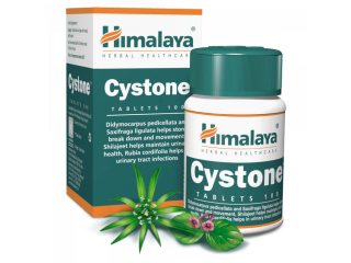 Himalaya Cystone 100 tablet