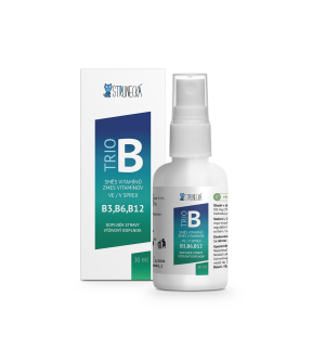 Strunecká Trio B - Kombinace vitaminů B6, B9, B12
