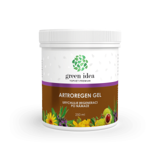 Artroregen masážní gel 250 ml